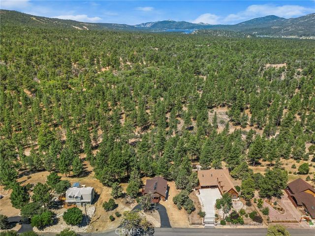 298 Dixie Lee Lane, Big Bear Lake, CA 92386
