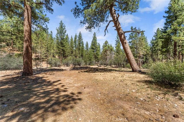 298 Dixie Lee Lane, Big Bear Lake, CA 92386