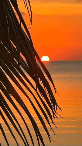 157 Caloosa Street, Plantation Key, FL 33070