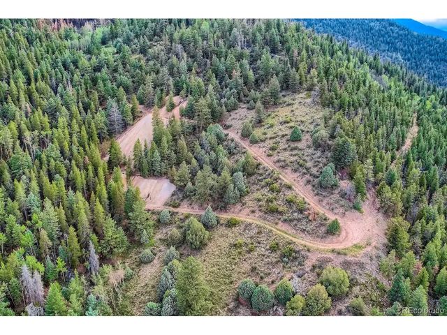 1 Harvest Moon Trail, Dumont, CO 80436