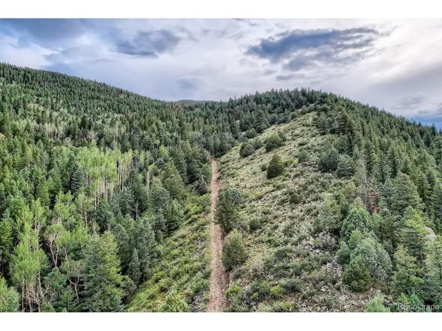 1 Harvest Moon Trail, Dumont, CO 80436