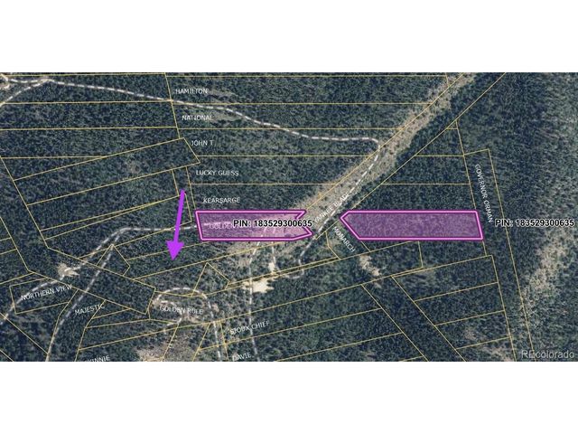 1 Harvest Moon Trail, Dumont, CO 80436