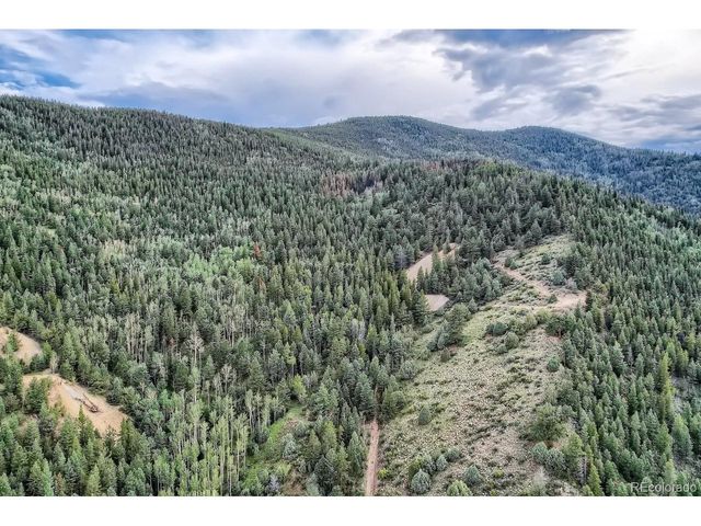 1 Harvest Moon Trail, Dumont, CO 80436