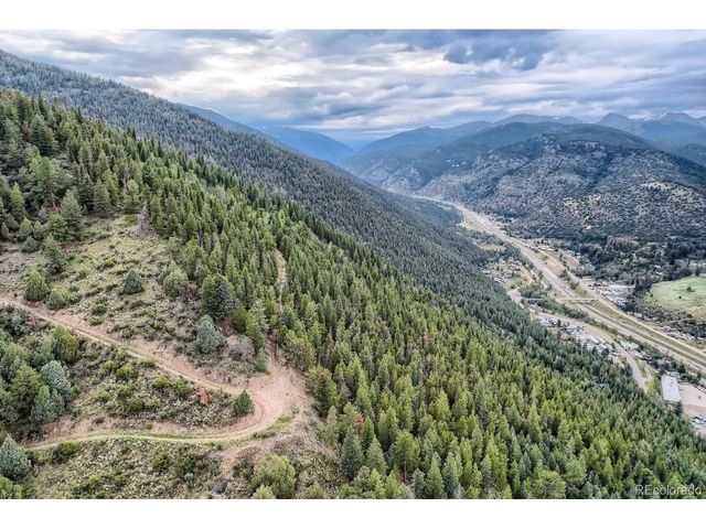1 Harvest Moon Trail, Dumont, CO 80436