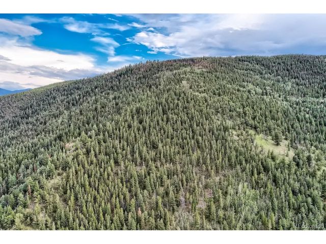 1 Harvest Moon Trail, Dumont, CO 80436
