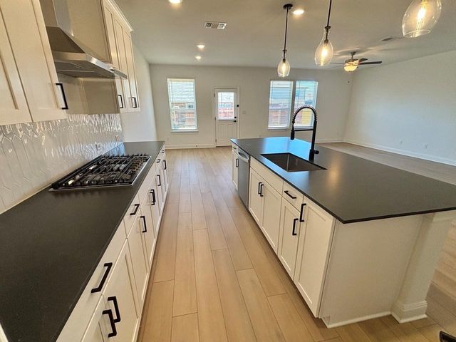 12008 Bacalar BND, Manor, TX 78653