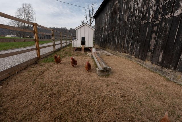 3236 Steele Branch Road, Frankfort, KY 40601