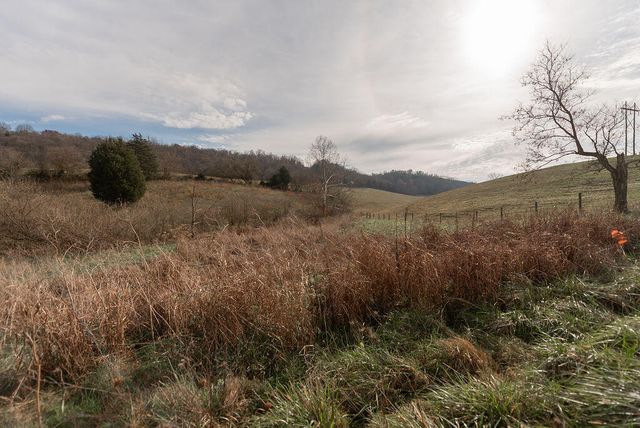 3236 Steele Branch Road, Frankfort, KY 40601