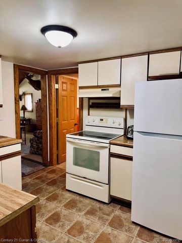 111 Petoskey Drive, Lyon Township, MI 48653