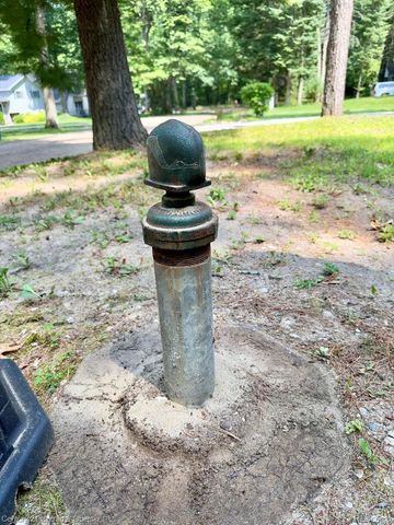 111 Petoskey Drive, Lyon Township, MI 48653