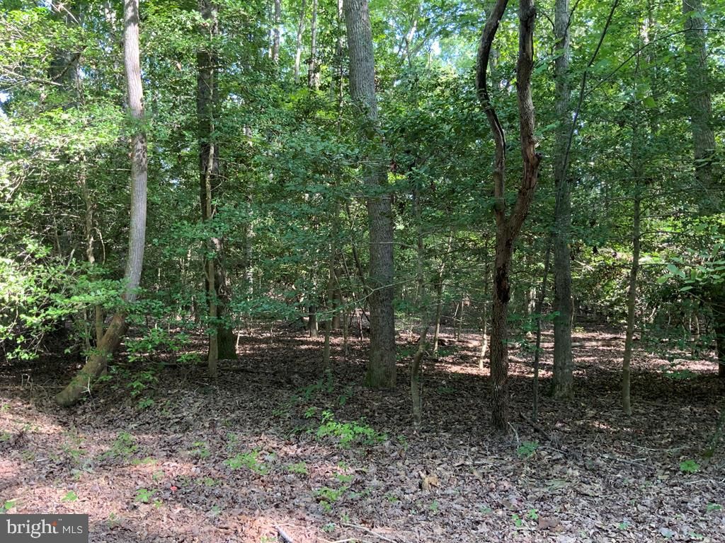 Lot 126 LONESOME PINES TRAIL, Lancaster, VA 22503