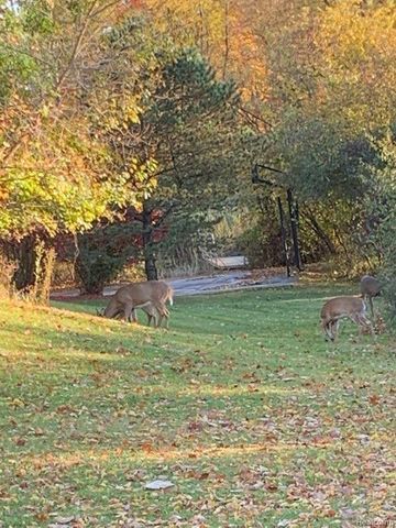 962 Hidden Valley Drive, Orion Charter Township, MI 48362