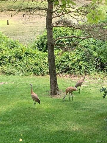 962 Hidden Valley Drive, Orion Charter Township, MI 48362