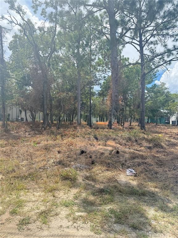 13786 LINDEN DRIVE, Spring Hill, FL 34609