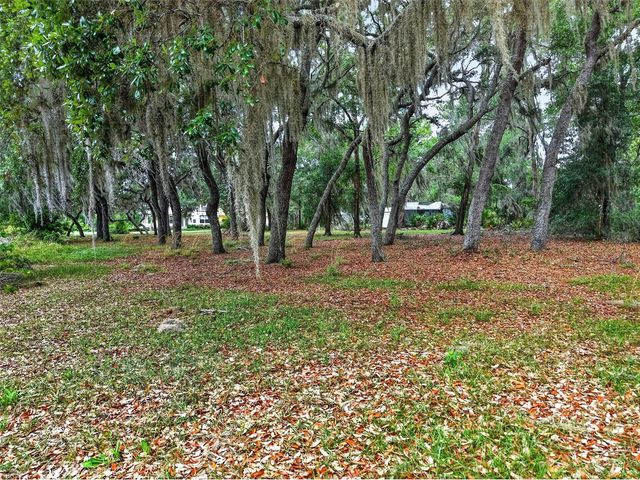 493 MALAUKA LOOP, Ocklawaha, FL 32179
