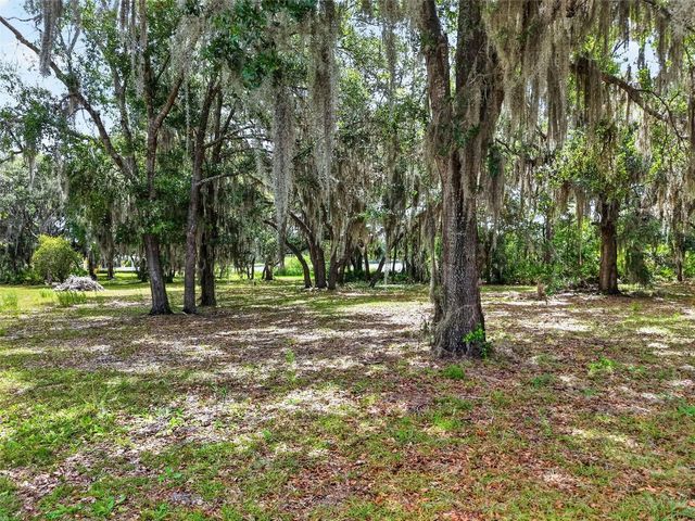 493 MALAUKA LOOP, Ocklawaha, FL 32179