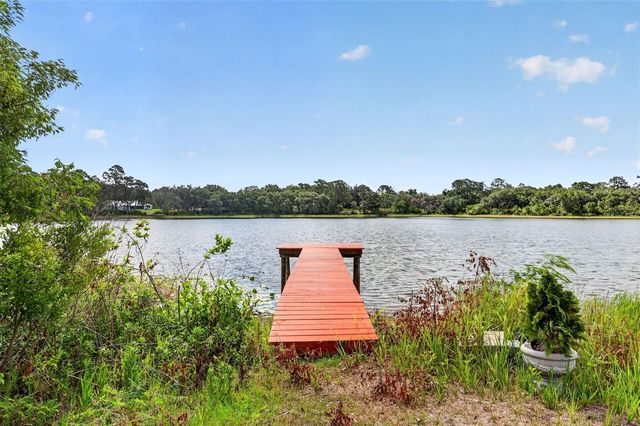 493 MALAUKA LOOP, Ocklawaha, FL 32179