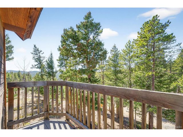 1856 Ridge Rd, Nederland, CO 80466