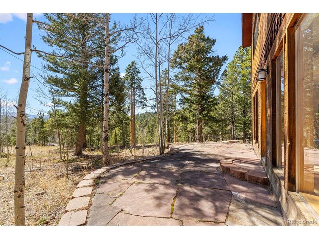 1856 Ridge Rd, Nederland, CO 80466
