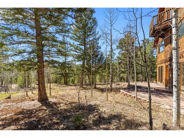 1856 Ridge Rd, Nederland, CO 80466