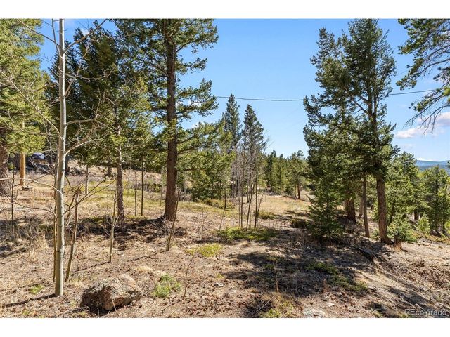 1856 Ridge Rd, Nederland, CO 80466