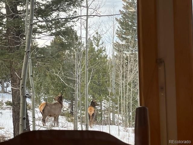 1856 Ridge Rd, Nederland, CO 80466