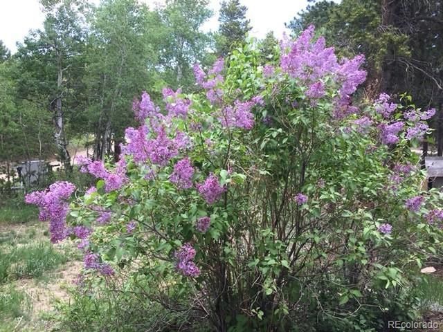 1856 Ridge Rd, Nederland, CO 80466