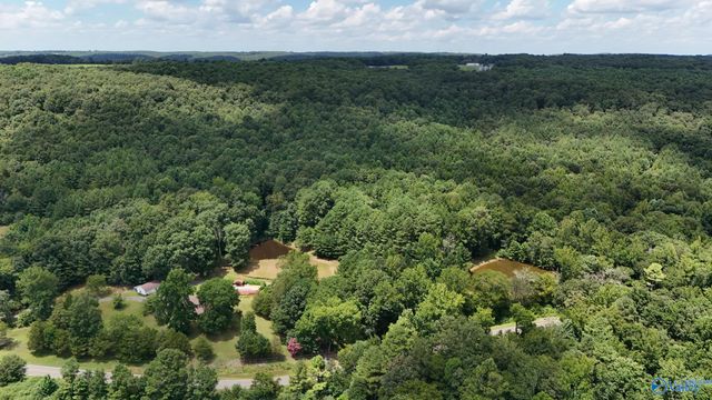 1168 Gandys Cove Road, Falkville, AL 35622