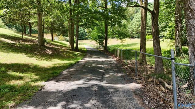 1168 Gandys Cove Road, Falkville, AL 35622