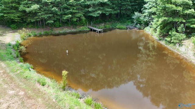 1168 Gandys Cove Road, Falkville, AL 35622