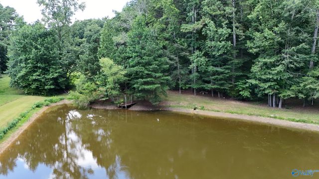 1168 Gandys Cove Road, Falkville, AL 35622