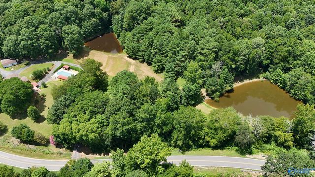 1168 Gandys Cove Road, Falkville, AL 35622