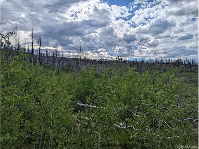 1692 Trimm Pl, Fort Garland, CO 81133