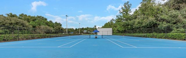 17807 HOWSMOOR PLACE, Lutz, FL 33559