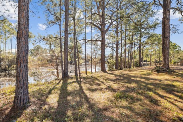 65 Lakeview Drive, Santa Rosa Beach, FL 32459