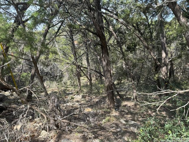 413 CEDAR DR, Canyon Lake, TX 78133