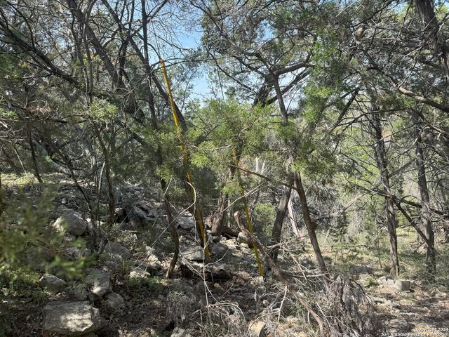413 CEDAR DR, Canyon Lake, TX 78133