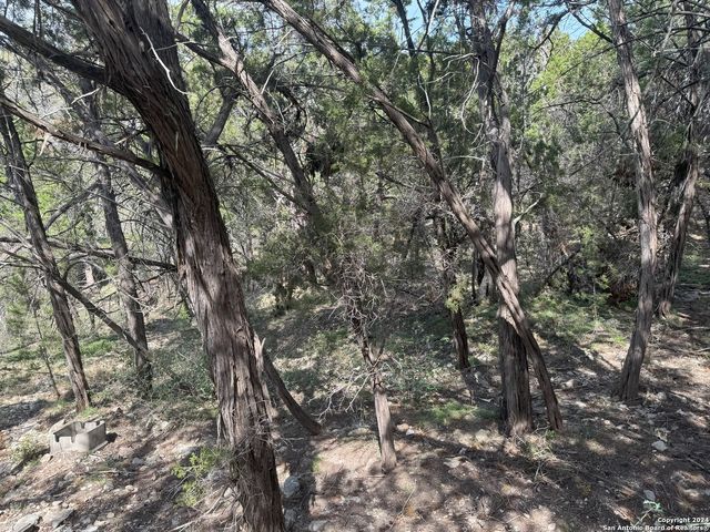413 CEDAR DR, Canyon Lake, TX 78133