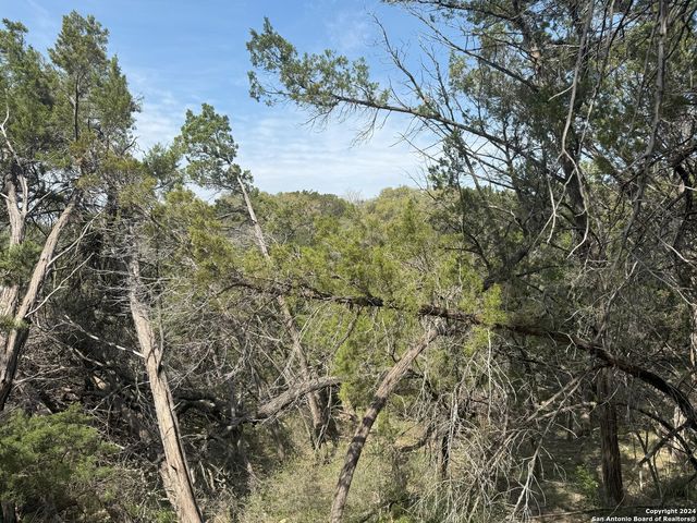 413 CEDAR DR, Canyon Lake, TX 78133