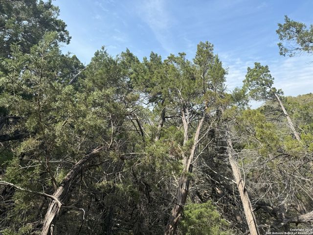 413 CEDAR DR, Canyon Lake, TX 78133