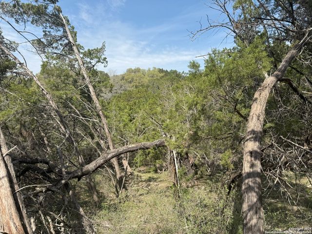 413 CEDAR DR, Canyon Lake, TX 78133
