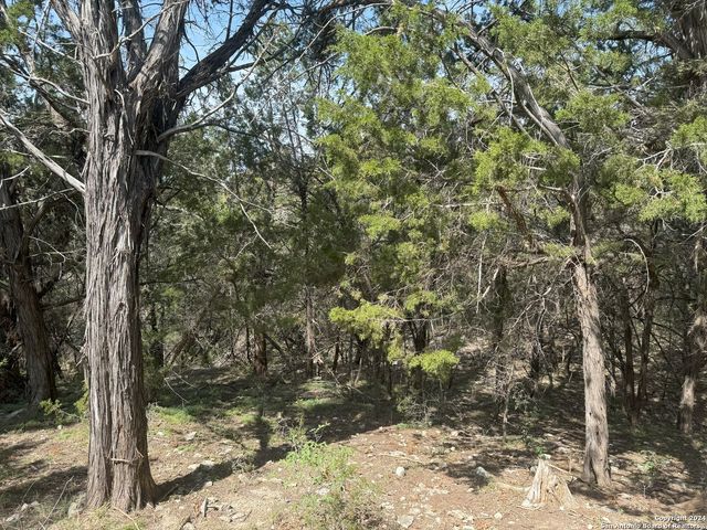 413 CEDAR DR, Canyon Lake, TX 78133