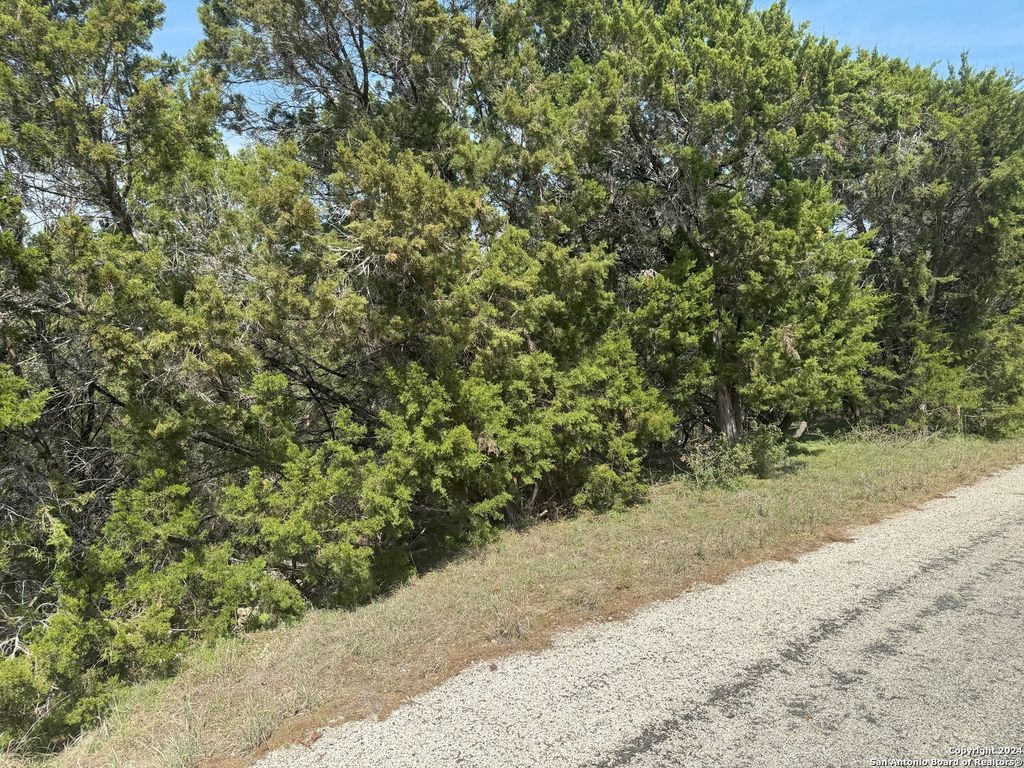 413 CEDAR DR, Canyon Lake, TX 78133