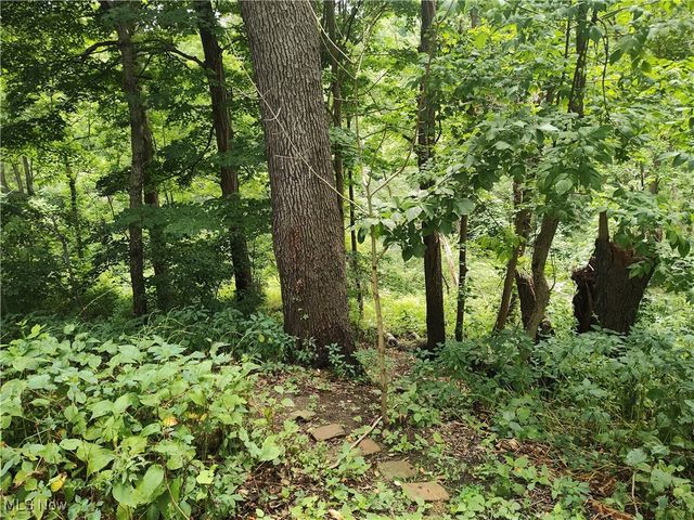 4510 S Ridge Road E, Geneva, OH 44041