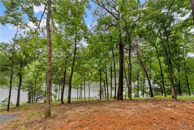 13881 Watercolor Pointe, Northport, AL 35475
