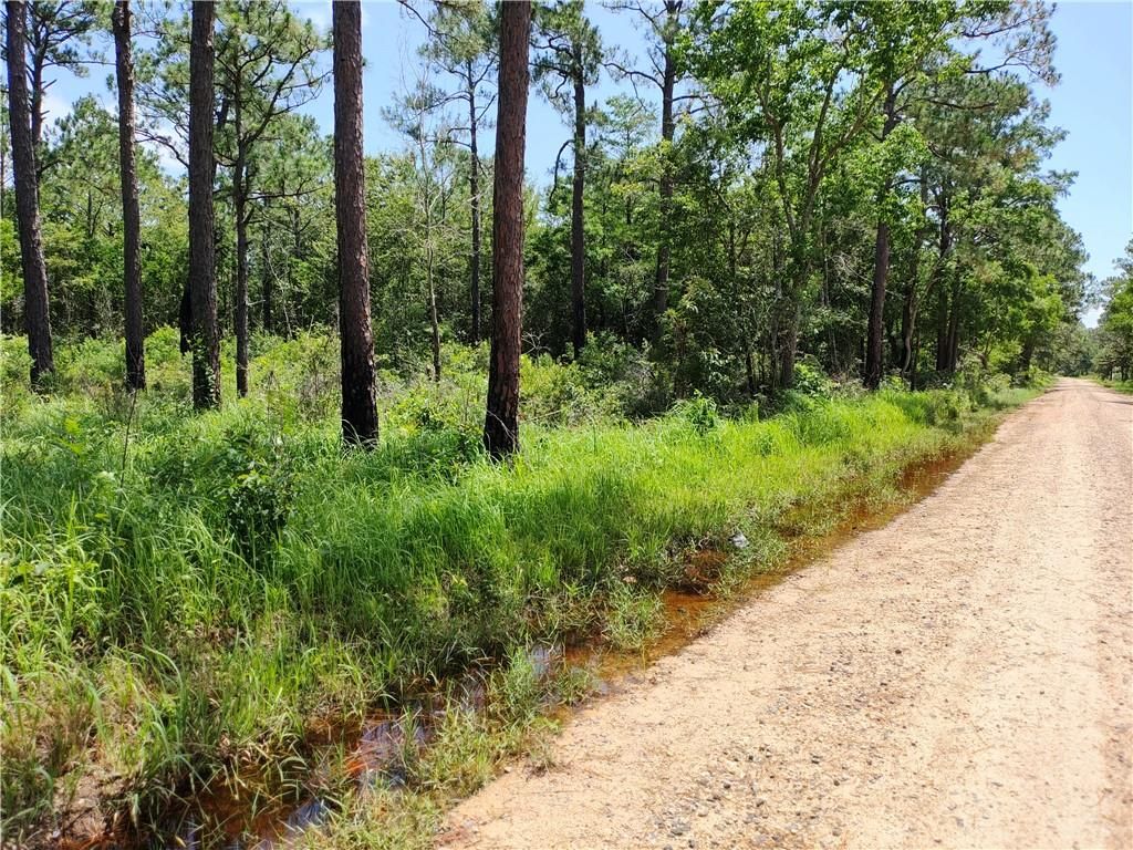 0 Johnson Road, Coden, AL 36523 — photo 3