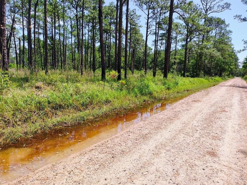0 Johnson Road, Coden, AL 36523 — photo 4