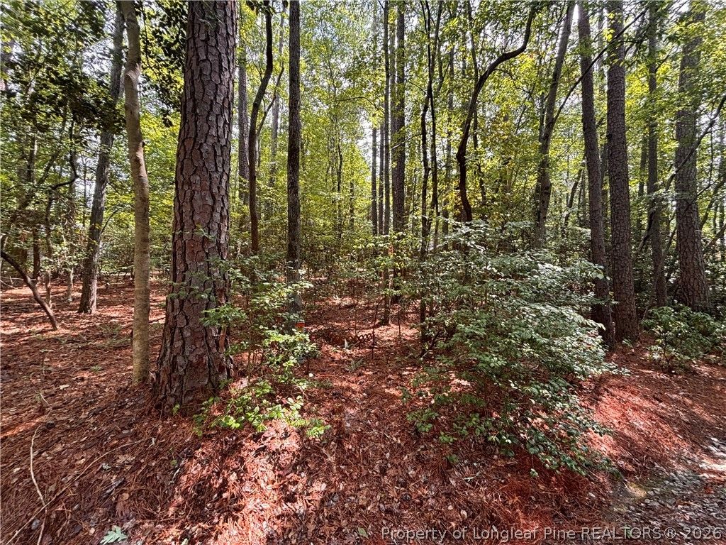 1452 CAROLINA Drive, Sanford, NC 27332 — photo 2