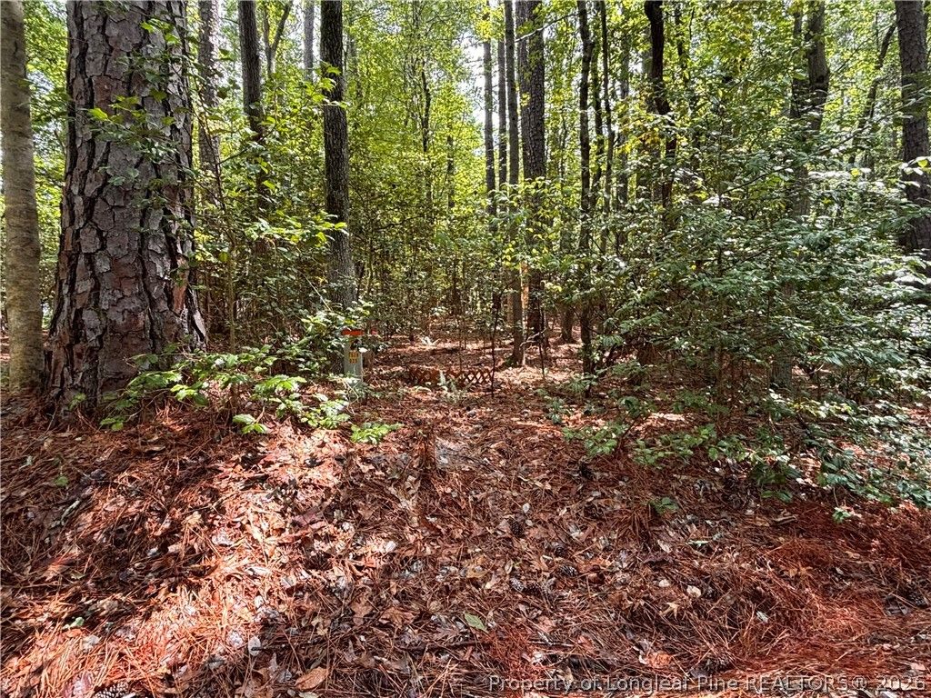 1452 CAROLINA Drive, Sanford, NC 27332 — photo 3
