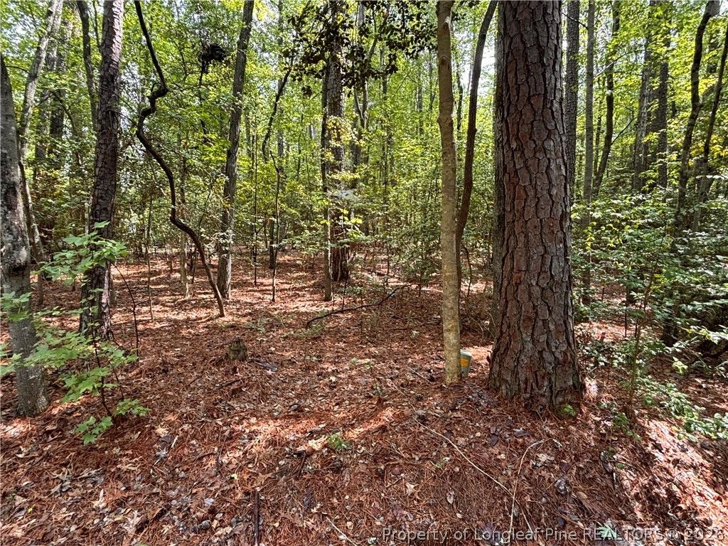 1452 CAROLINA Drive, Sanford, NC 27332 — photo 4
